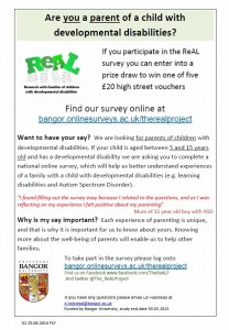 real survey flyer image